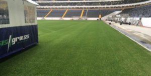 Rostov Stadium pitch
