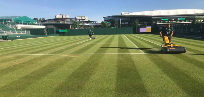 Wimbledon Tennis