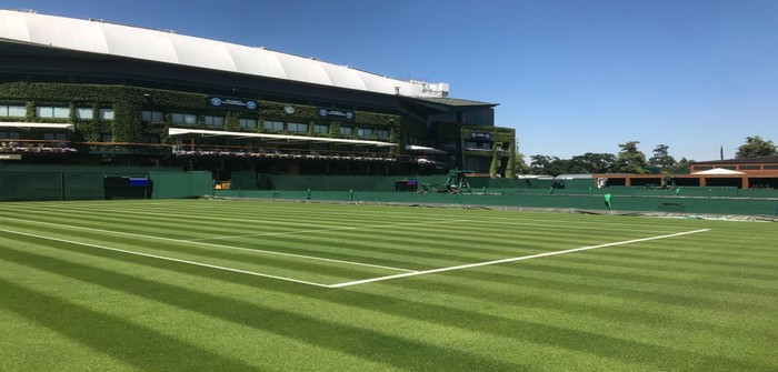 Wimbledon Tennis