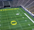 Oregon Ducks